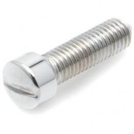 Cheesehead Screw for Headlamp Rims