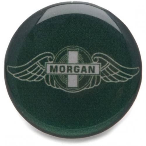 Decal Morgan - Green image #1